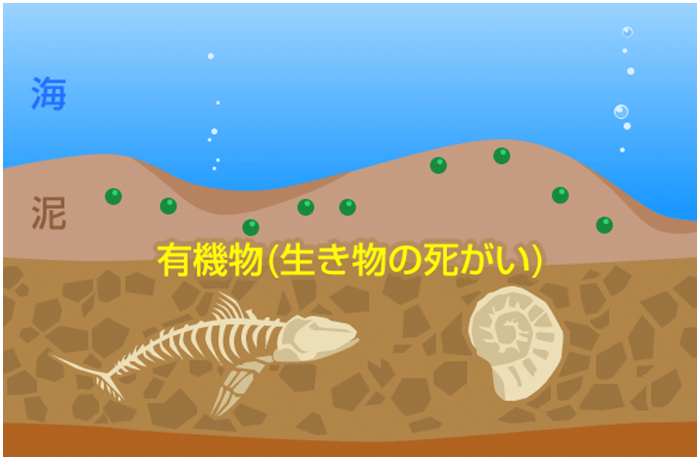 BG